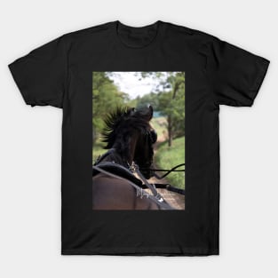 Riding Through the Countryside T-Shirt